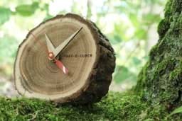 Zeige Details für "'Tree-o-Clock" Tischuhr Bild von "'Tree-o-Clock" Tischuhr