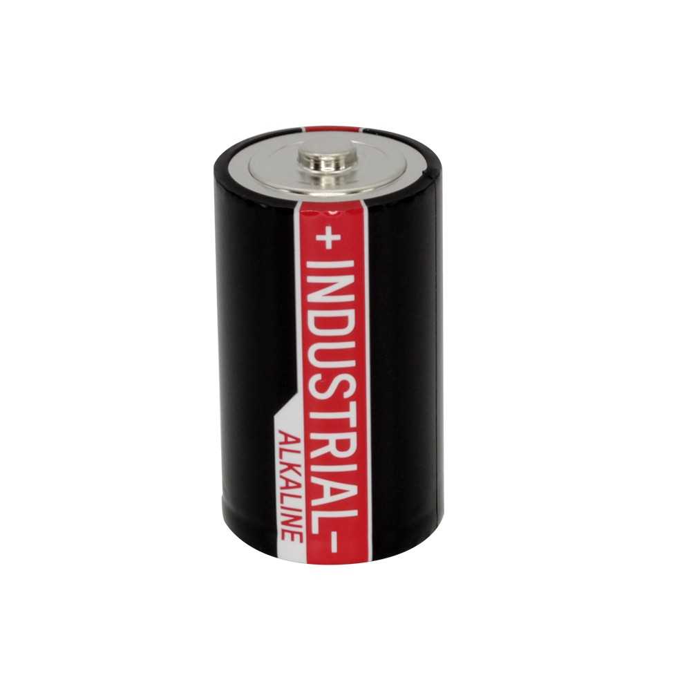 Bild von Ansmann Industrial Alkaline Mono D LR20 1504-0000 10er-Pack