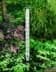 Bild von „Jumbo“ Gartenthermometer 12.2002